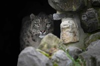 Tierpark Holland