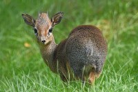 Tierpark Zie-ZOO